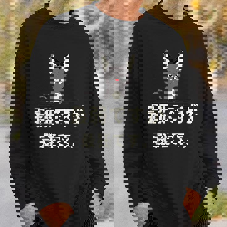 面白い 猫 文字入り 「最弱ですが最狂です。」おもしろギャグ-ジョーク 漢字 最弱ですが最狂です。 スウェットシャツ 彼への贈り物