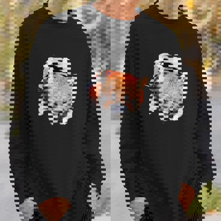 面白いtシャツ レッサーパンダ メンズ 動物 グッズ かわいい 面白い 服 ネタ スウェットシャツ 彼への贈り物