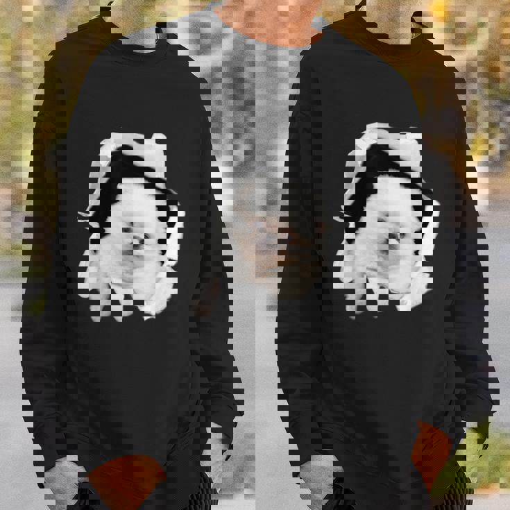 面白いtシャツ 犬 ポメラニアン イヌ わんこ メンズ 犬好き グッズ かわいい おもしろ 面白い 服 ネタ スウェットシャツ 彼への贈り物