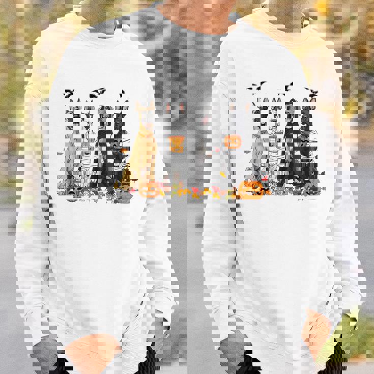 Cute Great Dane Dogs Ghost Witch Mummy Halloween Pumpkins Sweatshirt Gifts for Him