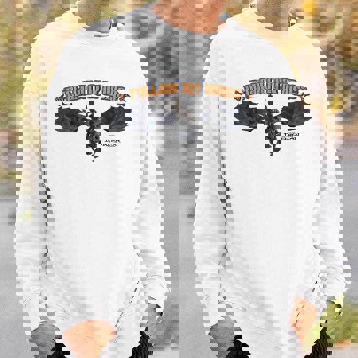 Dreamworks ヒックとドラゴン Toothless And Hiccup Follow My Wings スウェットシャツ 彼への贈り物