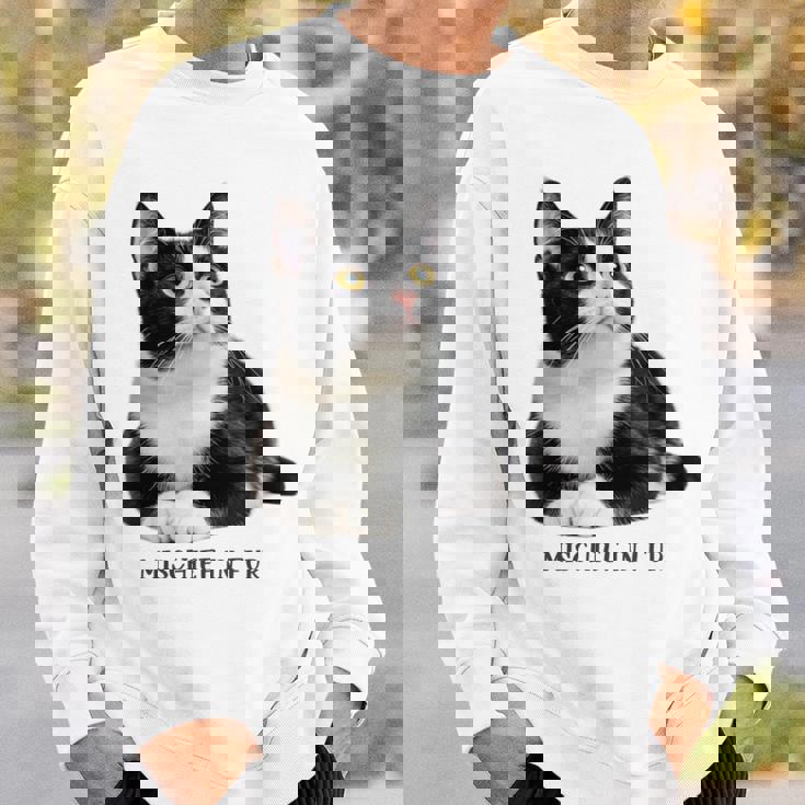 Mischief In Fur 猫写真 ハチワレ猫 黒白猫 猫好き ネタ 猫しもべ 猫飼い 猫依存症 長袖tシャツ スウェットシャツ 彼への贈り物
