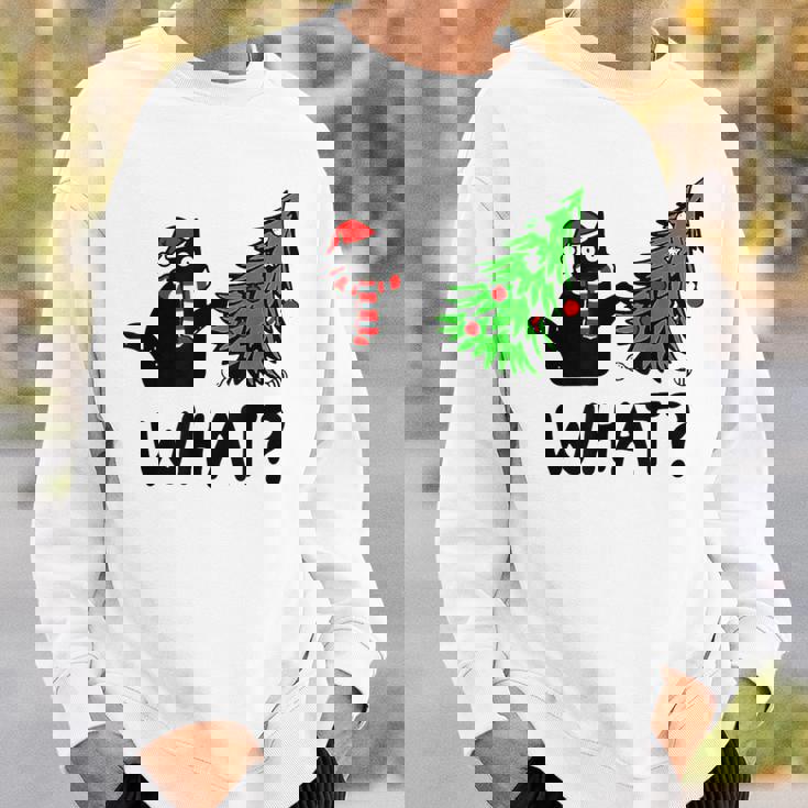 Ugly Sweater Christmas Tree Naughty Black Cat What Santa Hat Sweatshirt Gifts for Him Ugly Sweater Christmas Tree Naughty Black Cat What Santa Hat Sweatshirt Gifts for Him