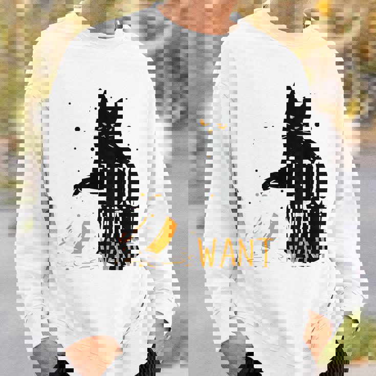 私は何をしたい黒猫カップ面白いグラフィック猫愛好家 スウェットシャツ 彼への贈り物