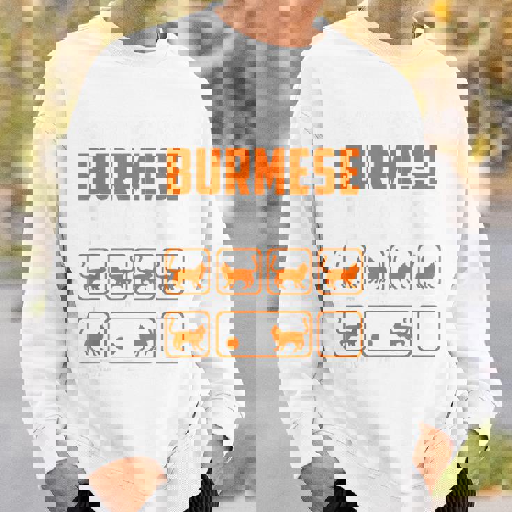 頑固なビルマの猫 トリックおもしろ子猫愛好家 スウェットシャツ 彼への贈り物