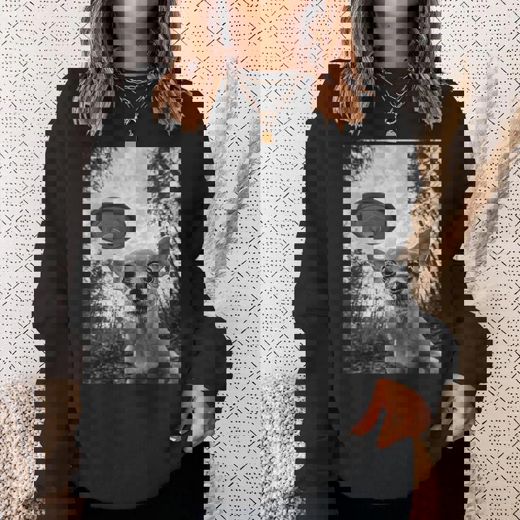 Alien Ufo Meme Chihuahua エイリアン Ufo ミーム チワワ スウェットシャツ 彼女への贈り物