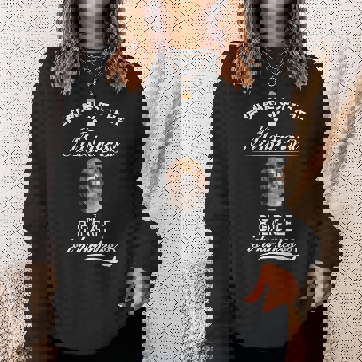 Beagle Beware Of The Mistress Beagle スウェットシャツ 彼女への贈り物