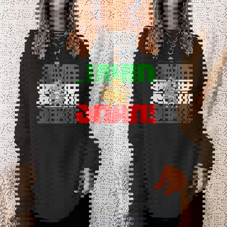 Javidhah イラン国旗 ペルシャパフラヴィー ライオンと太陽 長袖tシャツ スウェットシャツ 彼女への贈り物