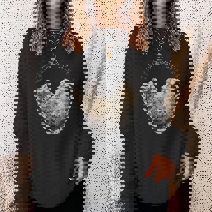 Lying Cat スウェットシャツ 彼女への贈り物