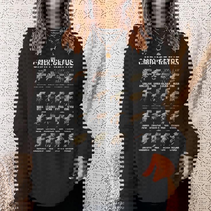 カンブリア紀の生き物チャート先史時代の生活古生物学 スウェットシャツ 彼女への贈り物