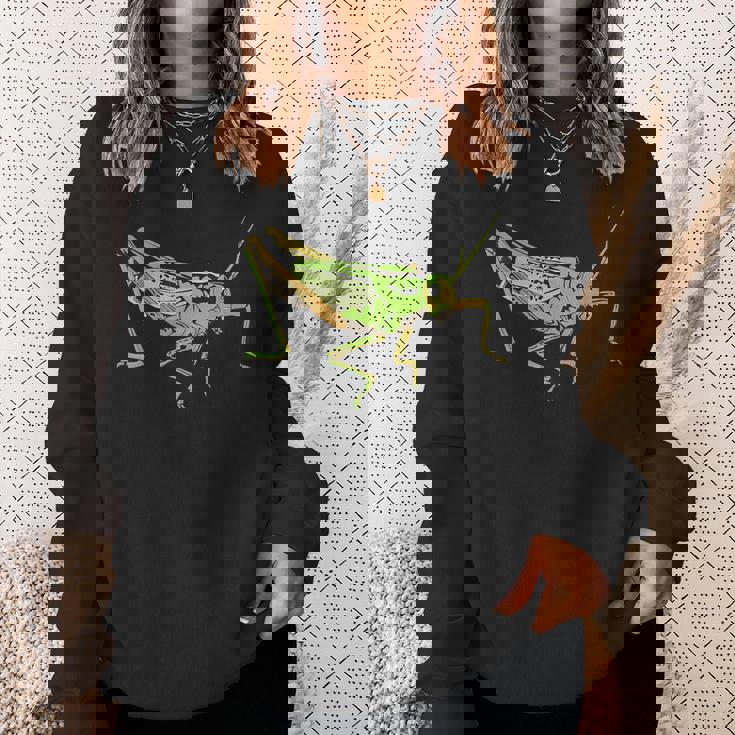 キリギリス アート デザイン イラスト イナゴ キリギリス スウェットシャツ 彼女への贈り物