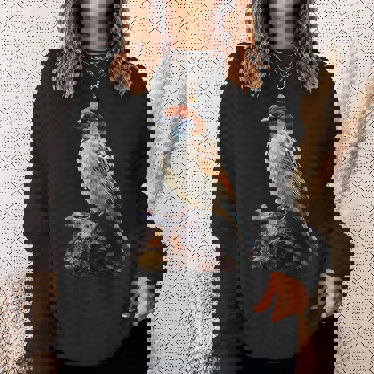 ギフト現実的なスズメ自然木鳥 スウェットシャツ 彼女への贈り物