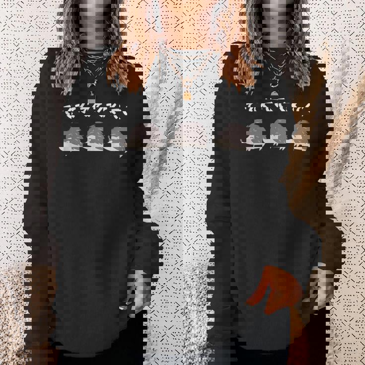 ハリネズミ てくてく ハリネズミ好き ハリネズミの飼い主 おもしろ 可愛い ハリネズミ スウェットシャツ 彼女への贈り物