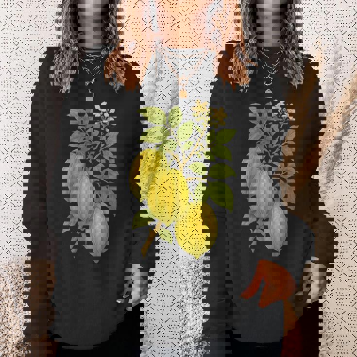 ビンテージ ボタニカル スターフルーツ 自然 アートプリント スウェットシャツ 彼女への贈り物