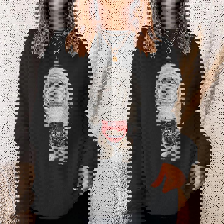 ムエタイキックボクシングチャンピオンとしてのマルチーズドッグ スウェットシャツ 彼女への贈り物