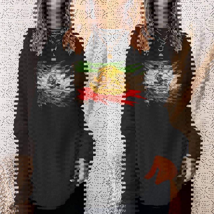 ライオンと太陽のエンブレムが付いたイランの国旗、ヴィンテージペルシャ遺産。 スウェットシャツ 彼女への贈り物