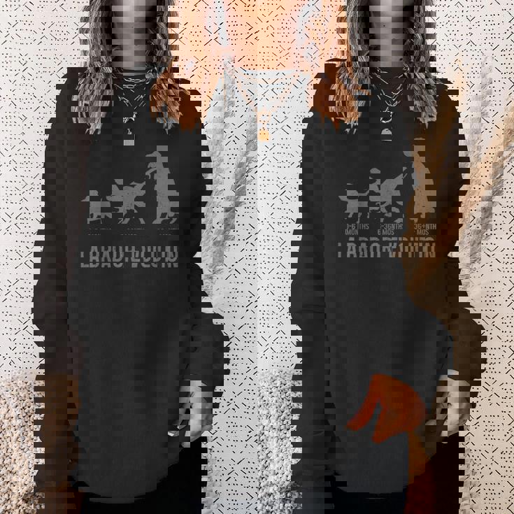 ラブラドールエボリューション おもしろい ラブラドールレトリバー ママ パパ 犬 スウェットシャツ 彼女への贈り物