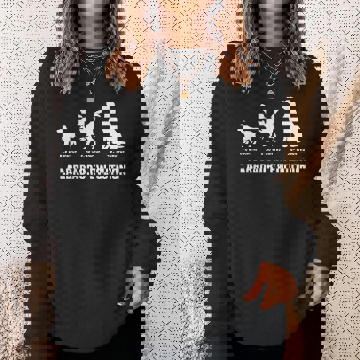 ラブラドールレトリバー エボリューションデザイン ラブラドールオーナー向け 長袖tシャツ スウェットシャツ 彼女への贈り物