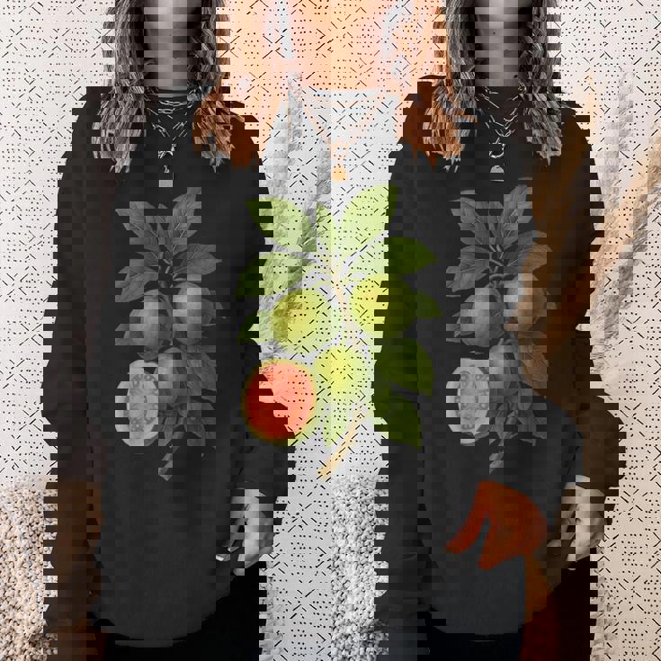 ヴィンテージ ボタニカル グアバ 自然 フルーツ アートプリント スウェットシャツ 彼女への贈り物