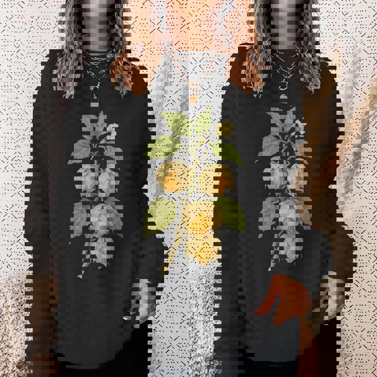 ヴィンテージ ボタニカル サイサリス 自然 フルーツ アートプリント スウェットシャツ 彼女への贈り物