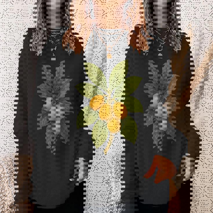 ヴィンテージ ボタニカル ビワ 自然 フルーツ アートプリント スウェットシャツ 彼女への贈り物