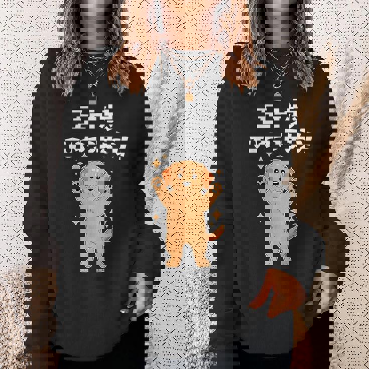 面白いtシャツ ゴールデンレトリバー メンズ 犬好き グッズ かわいい おもしろ 面白い 服 ネタ 子供用 スウェットシャツ 彼女への贈り物