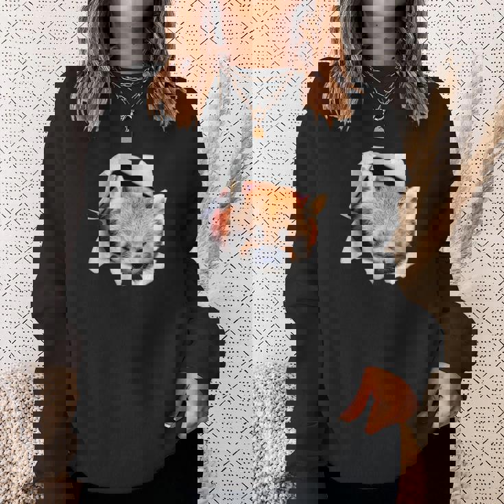 面白いtシャツ レッサーパンダ メンズ 動物 グッズ かわいい 面白い 服 ネタ スウェットシャツ 彼女への贈り物