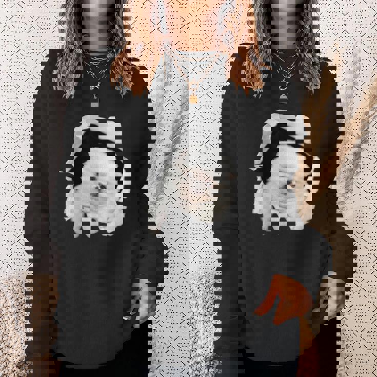 面白いtシャツ 犬 ポメラニアン イヌ わんこ メンズ 犬好き グッズ かわいい おもしろ 面白い 服 ネタ スウェットシャツ 彼女への贈り物