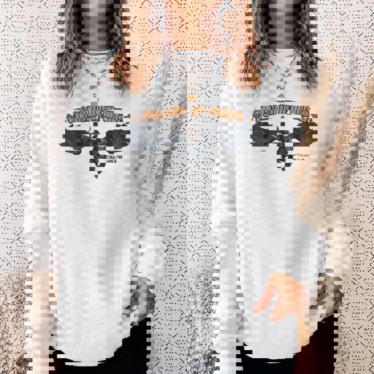 Dreamworks ヒックとドラゴン Toothless And Hiccup Follow My Wings スウェットシャツ 彼女への贈り物