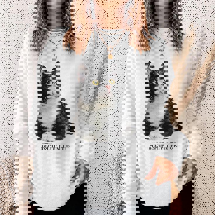 Mischief In Fur 猫写真 ハチワレ猫 黒白猫 猫好き ネタ 猫しもべ 猫飼い 猫依存症 長袖tシャツ スウェットシャツ 彼女への贈り物