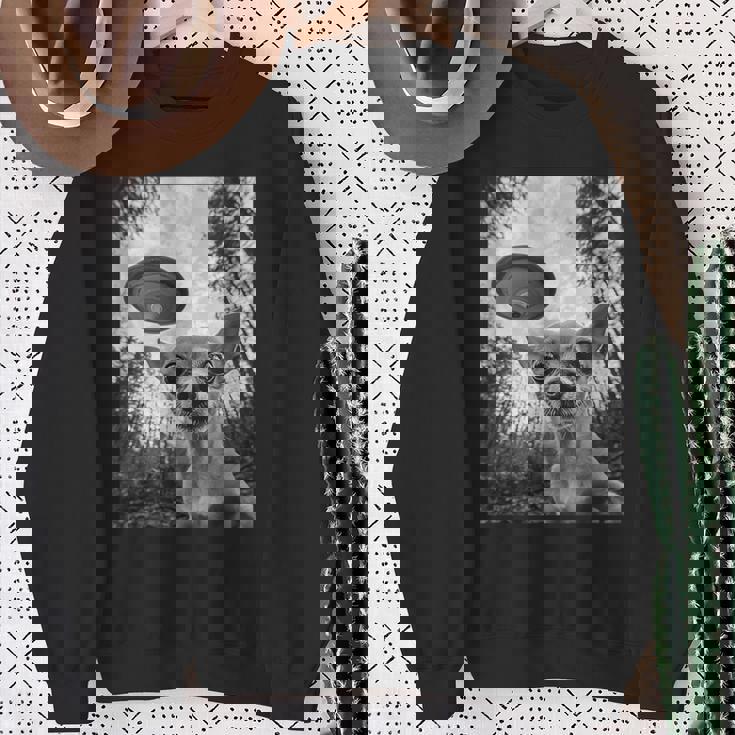 Alien Ufo Meme Chihuahua エイリアン Ufo ミーム チワワ スウェットシャツ 年配の女性への贈り物