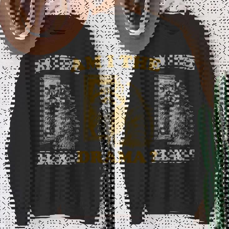 Am I The Drama Raccoon Unhinged Meme 陽気なアライグマのミーム スウェットシャツ 年配の女性への贈り物