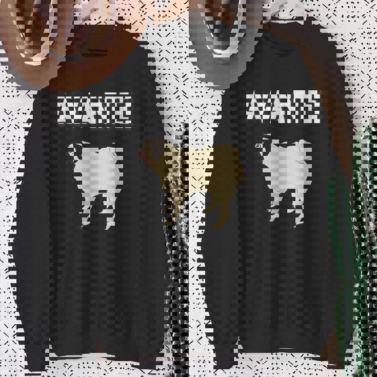 Avante Pug スウェットシャツ 年配の女性への贈り物