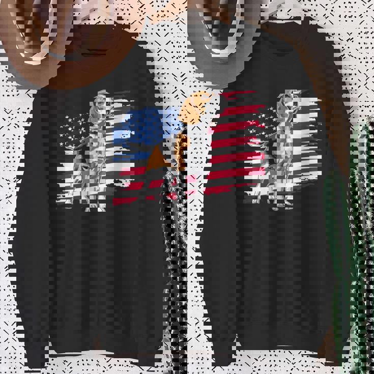 Beagle 長袖tシャツ スウェットシャツ 年配の女性への贈り物