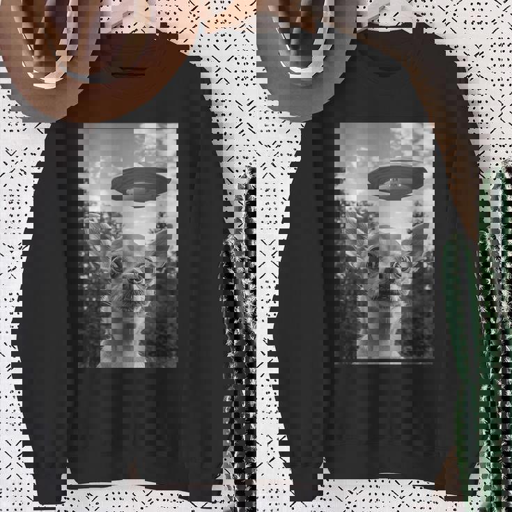 Chihuahuaelfie With Ufo Ufo と面白いチワワのセルフィー スウェットシャツ 年配の女性への贈り物