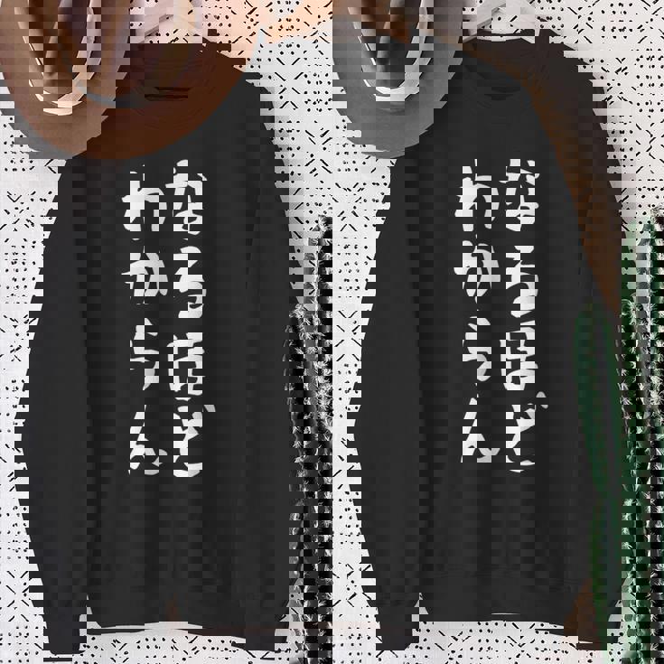 【なるほど、わからん】おもしろ 面白い ウケる 文字 ふざけ 文字入り ギャグ ネタ ウケ狙い お笑い 笑える ユーモア スウェットシャツ 年配の女性への贈り物