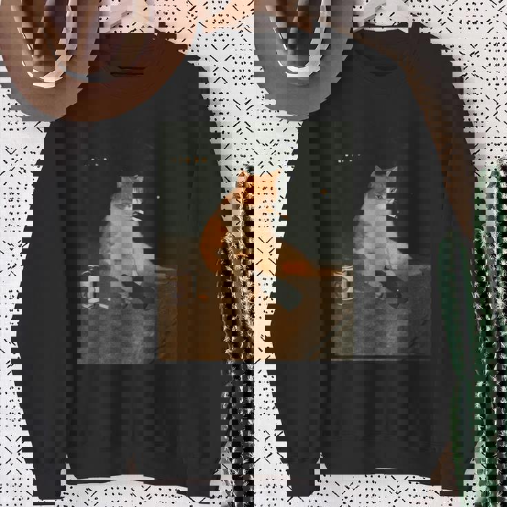 おもしろタバコ 子猫 喫煙 バカ ミーム ブレイン スウェットシャツ 年配の女性への贈り物