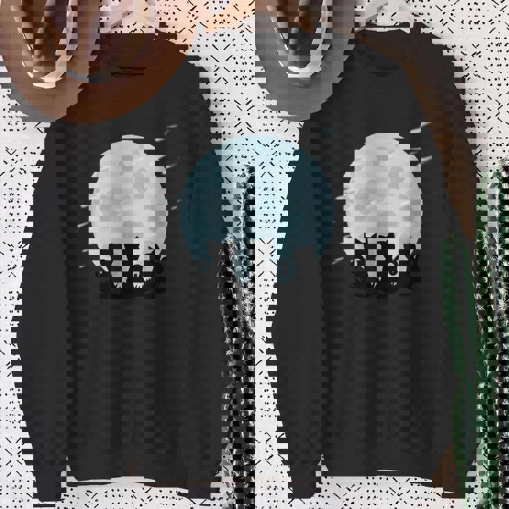 かわいい猫モチーフ 猫好き ペット カラフル ハウスキャット スウェットシャツ 年配の女性への贈り物