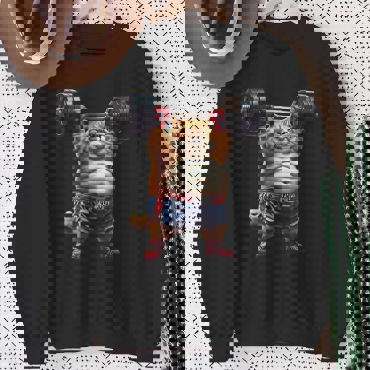 ギャグ ぽっちゃり猫 筋トレ ウエイトリフティング ジム 面白い グラフィック猫ミーム スウェットシャツ 年配の女性への贈り物