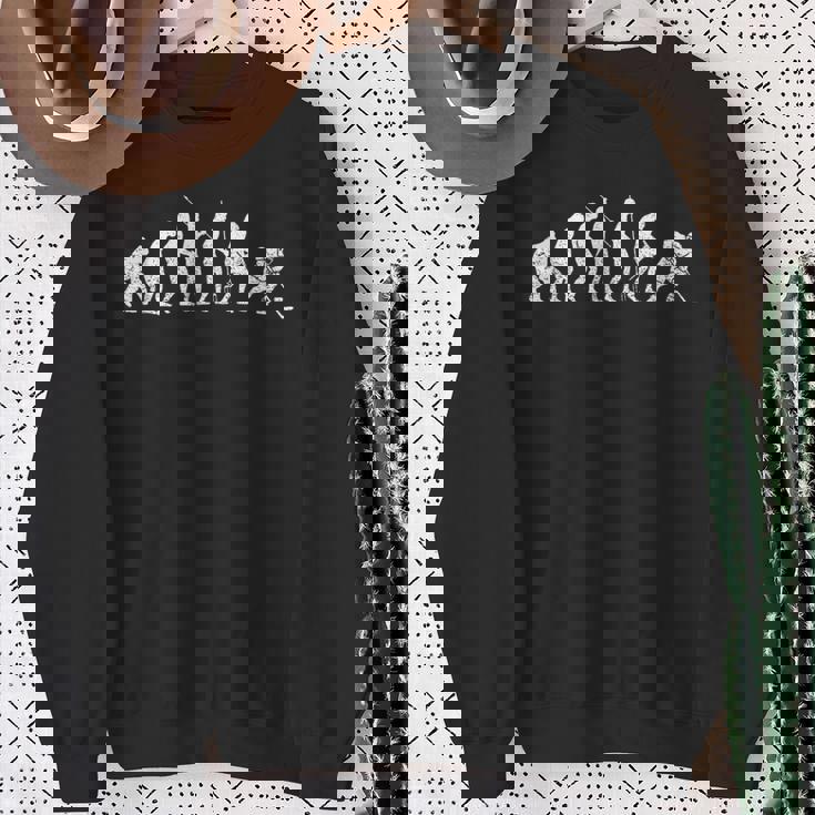 アイスホッケージャージ、アイスホッケー選手、アイスホッケートップ。 スウェットシャツ 年配の女性への贈り物