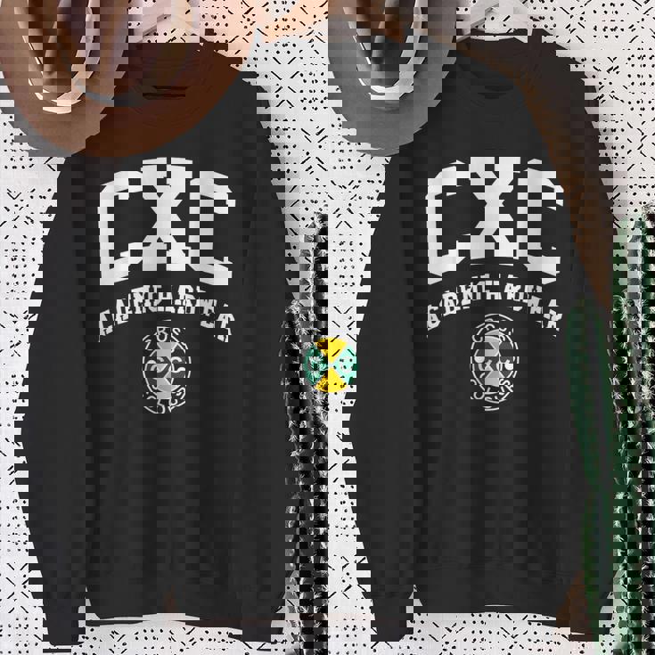 アカデミックハードウェア スウェットシャツ 年配の女性への贈り物