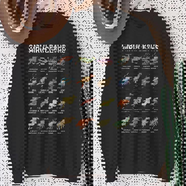 カンブリア紀の生き物チャート–先史時代の海洋生物アート スウェットシャツ 年配の女性への贈り物