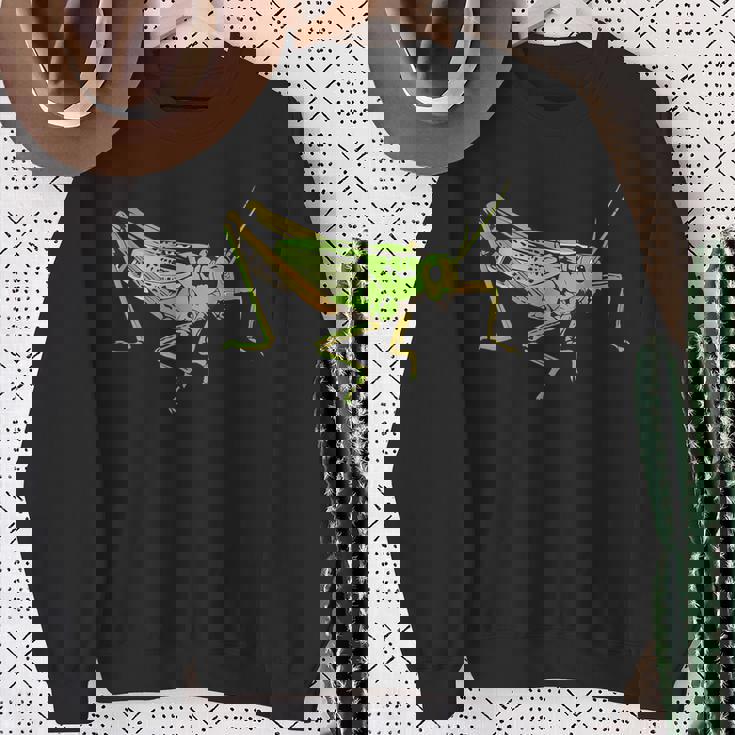 キリギリス アート デザイン イラスト イナゴ キリギリス スウェットシャツ 年配の女性への贈り物