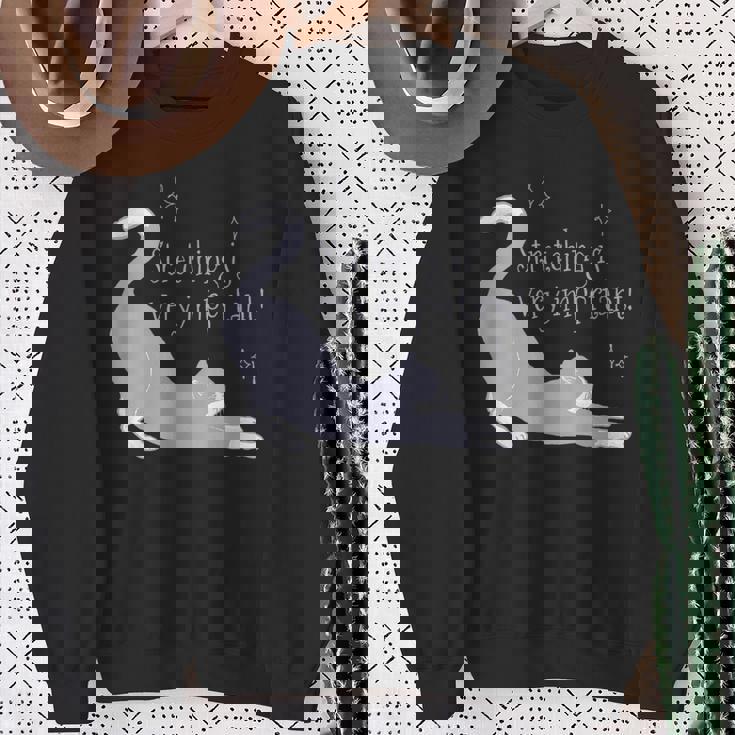 ストレッチは大事！ 猫 ネコ 愛猫 伸び 柔軟 ハチワレ 靴下猫 シンプル かわいい 癒やし メンズ レディース キッズ スウェットシャツ 年配の女性への贈り物