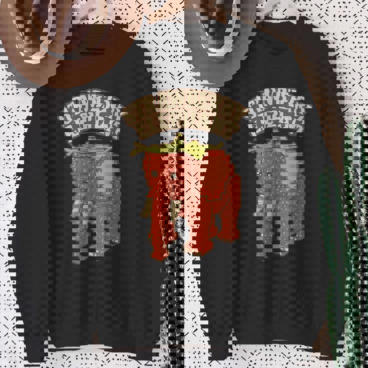 ストロベリーエレファント 面白い イタリアンブレインロットスラング ゲームミーム スウェットシャツ 年配の女性への贈り物