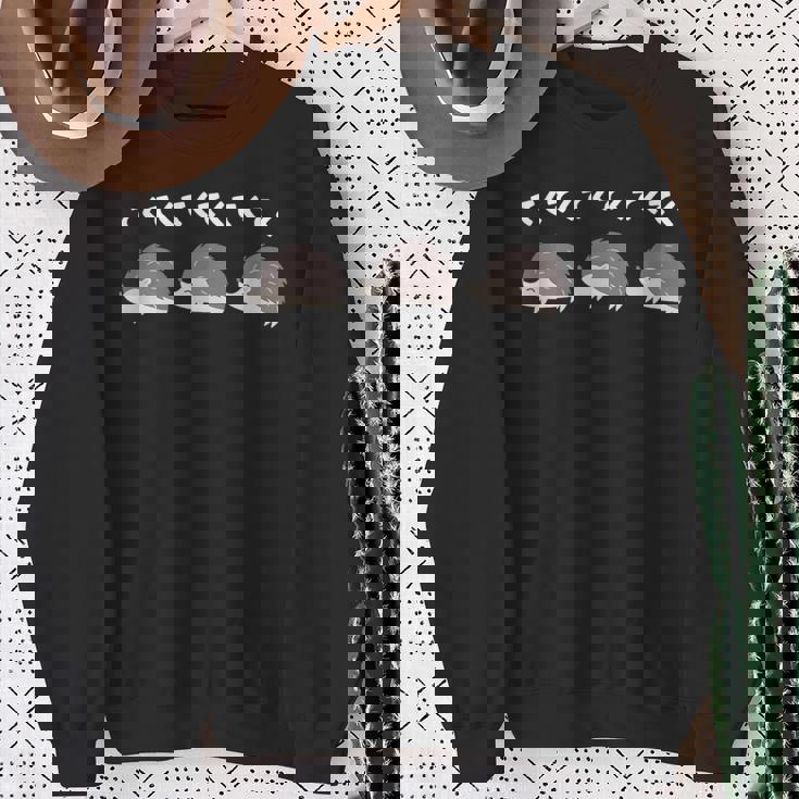 ハリネズミ てくてく ハリネズミ好き ハリネズミの飼い主 おもしろ 可愛い ハリネズミ スウェットシャツ 年配の女性への贈り物