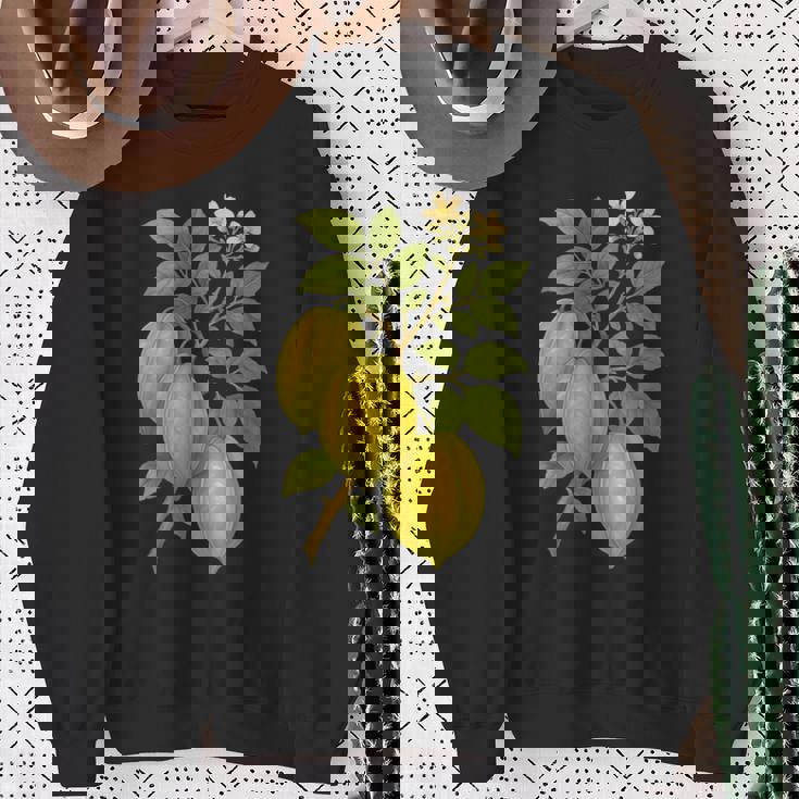 ビンテージ ボタニカル スターフルーツ 自然 アートプリント スウェットシャツ 年配の女性への贈り物