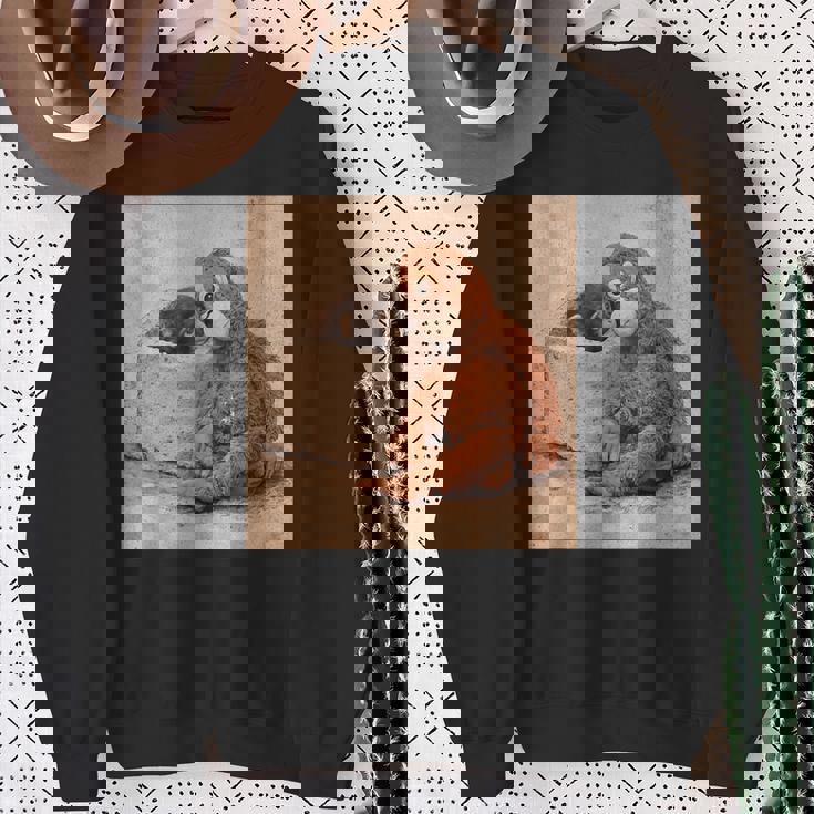 ベビーモンキーパンチ スウェットシャツ 年配の女性への贈り物