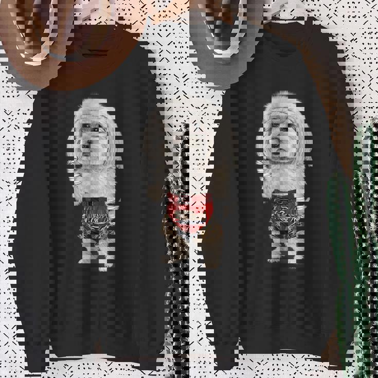 ムエタイキックボクシングチャンピオンとしてのマルチーズドッグ スウェットシャツ 年配の女性への贈り物