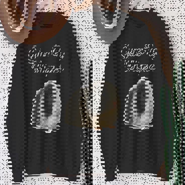 モルモットのささやき-ペルーのモルモット スウェットシャツ 年配の女性への贈り物